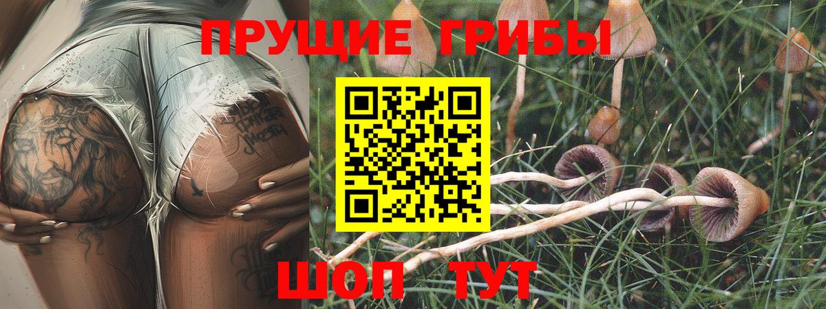 Галлюциногенные грибы мицелий  Вход с VPN  Псилоцибиновые грибы GOLDEN TEACHER  Лесозаводск 