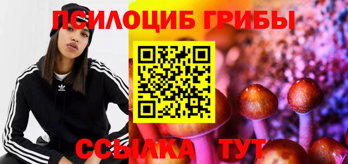 Псилоцибиновые грибы Magic Shrooms Лесозаводск
